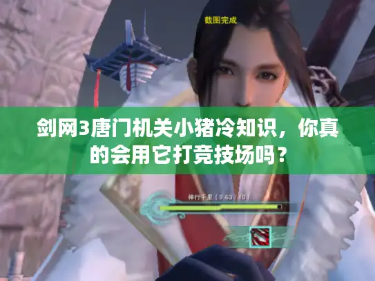 剑网3唐门机关小猪冷知识，你真的会用它打竞技场吗？