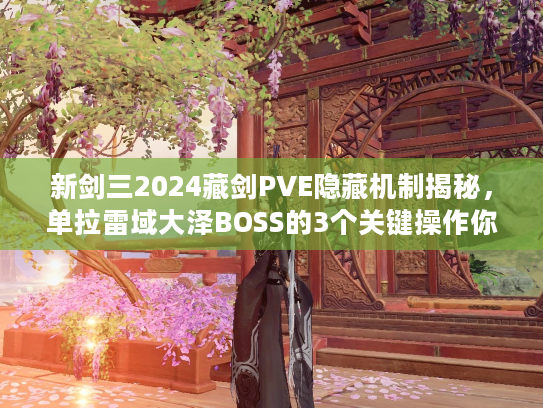 新剑三2024藏剑PVE隐藏机制揭秘,单拉雷域大泽BOSS的3个关键操作你会吗? 新剑三2024藏剑PVE隐藏机制揭秘,单拉雷域大泽BOSS的3个关键操作你会吗?