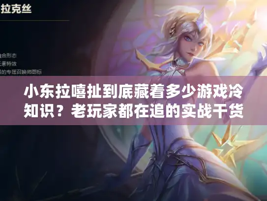 小东拉嘻扯到底藏着多少游戏冷知识？老玩家都在追的实战干货来了！