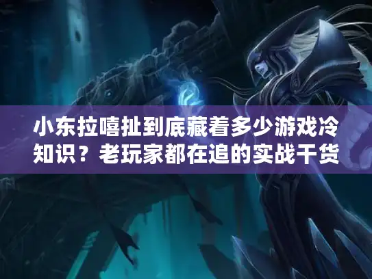 小东拉嘻扯到底藏着多少游戏冷知识？老玩家都在追的实战干货来了！