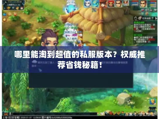 哪里能淘到超值的私服版本？权威推荐省钱秘籍！
