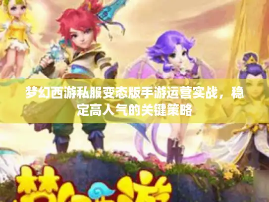 梦幻西游私服变态版手游运营实战，稳定高人气的关键策略