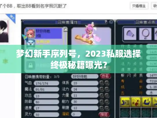 梦幻新手序列号，2023私服选择终极秘籍曝光？