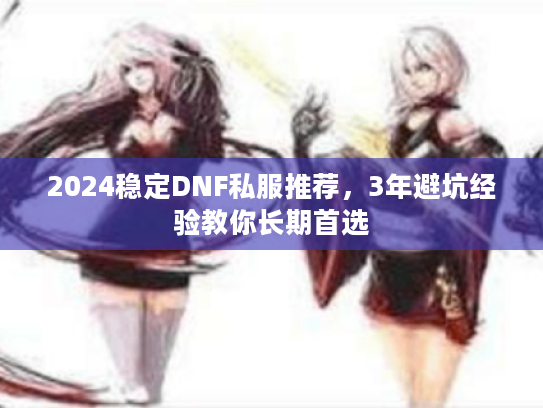 2024稳定DNF私服推荐，3年避坑经验教你长期首选