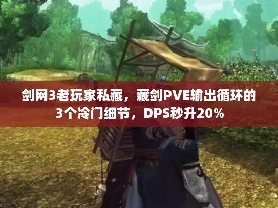 剑网3老玩家私藏,藏剑PVE输出循环的3个冷门细节,DPS秒升20% 剑网3老玩家私藏,藏剑PVE输出循环的3个冷门细节,DPS秒升20%