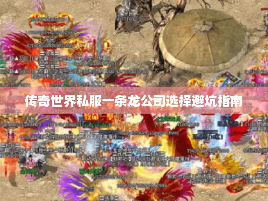 传奇世界私服一条龙公司选择避坑指南 传奇世界私服一条龙公司选择避坑指南