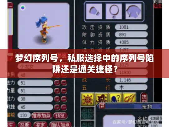 梦幻序列号，私服选择中的序列号陷阱还是通关捷径？