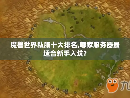 魔兽世界私服十大排名,哪家服务器最适合新手入坑?