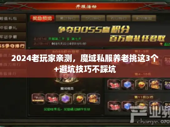 2024老玩家亲测，魔域私服养老挑这3个+避坑技巧不踩坑