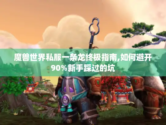 魔兽世界私服一条龙终极指南,如何避开90%新手踩过的坑