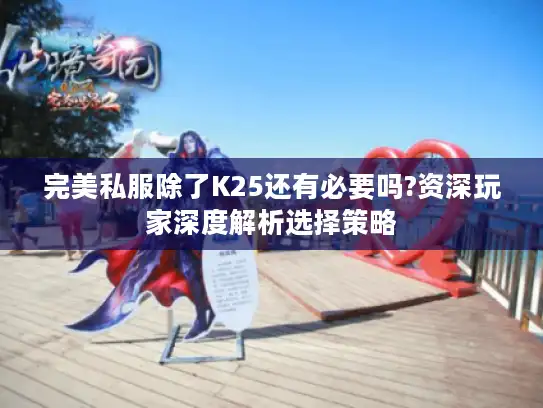 完美私服除了K25还有必要吗?资深玩家深度解析选择策略