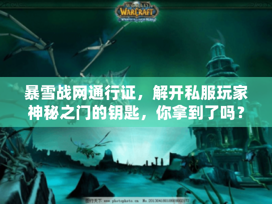 暴雪战网通行证，解开私服玩家神秘之门的钥匙，你拿到了吗？