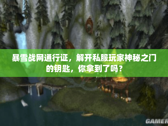 暴雪战网通行证，解开私服玩家神秘之门的钥匙，你拿到了吗？
