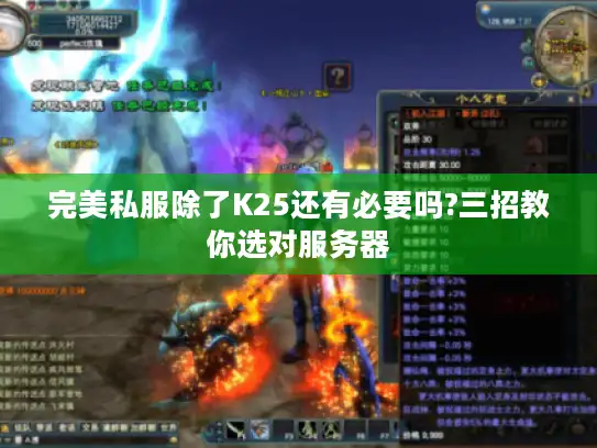 完美私服除了K25还有必要吗?三招教你选对服务器 完美私服除了K25还有必要吗?三招教你选对服务器