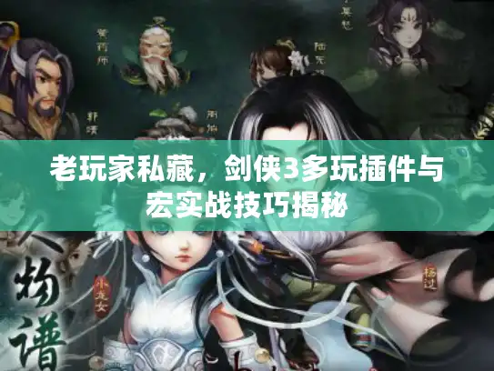 老玩家私藏，剑侠3多玩插件与宏实战技巧揭秘