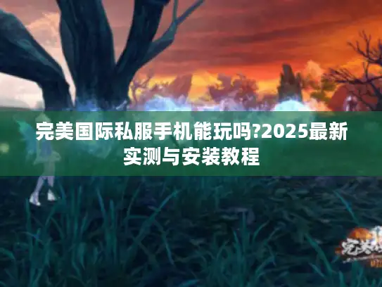 完美国际私服手机能玩吗?2025最新实测与安装教程
