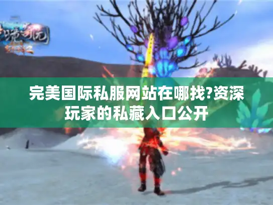 完美国际私服网站在哪找?资深玩家的私藏入口公开