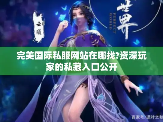 完美国际私服网站在哪找?资深玩家的私藏入口公开