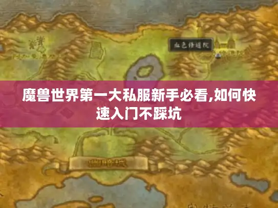 魔兽世界第一大私服新手必看,如何快速入门不踩坑