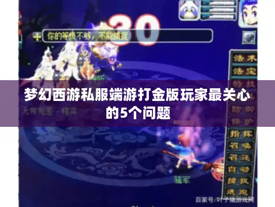 梦幻西游私服端游打金版玩家最关心的5个问题