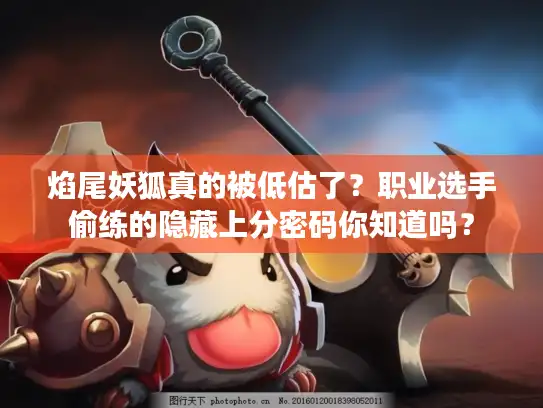 焰尾妖狐真的被低估了？职业选手偷练的隐藏上分密码你知道吗？