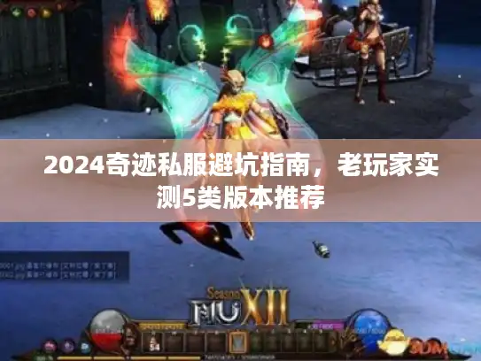 2024奇迹私服避坑指南，老玩家实测5类版本推荐