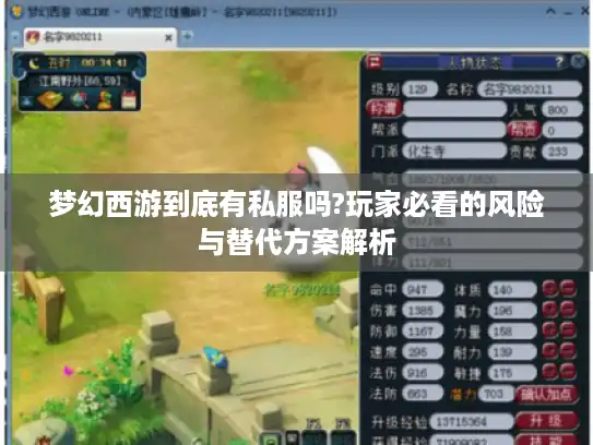 梦幻西游到底有私服吗?玩家必看的风险与替代方案解析 梦幻西游到底有私服吗?玩家必看的风险与替代方案解析
