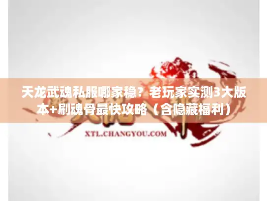 天龙武魂私服哪家稳？老玩家实测3大版本+刷魂骨最快攻略（含隐藏福利）
