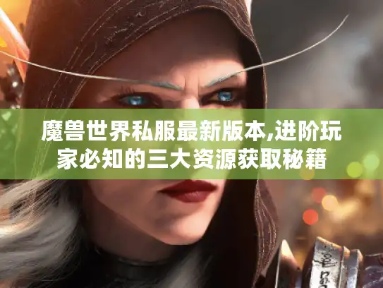 魔兽世界私服最新版本,进阶玩家必知的三大资源获取秘籍