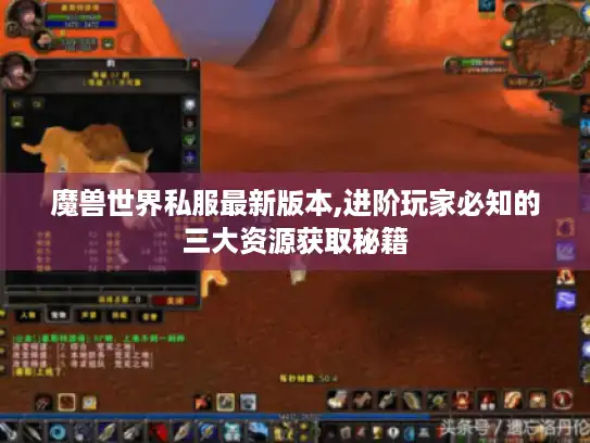 魔兽世界私服最新版本,进阶玩家必知的三大资源获取秘籍