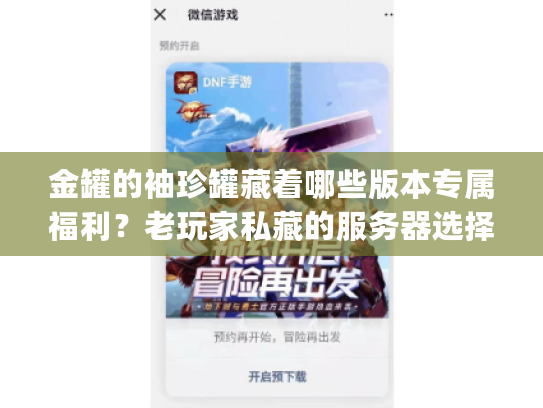 金罐的袖珍罐藏着哪些版本专属福利？老玩家私藏的服务器选择&速刷攻略