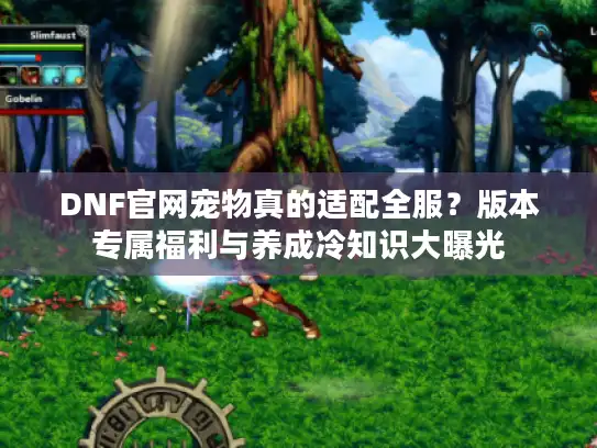 DNF官网宠物真的适配全服？版本专属福利与养成冷知识大曝光