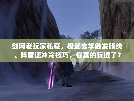 剑网老玩家私藏，橙武玄学触发暗线、阵营速冲冷技巧，你真的玩透了？