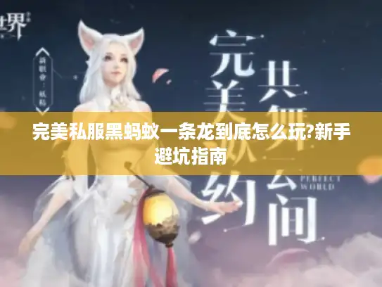 完美私服黑蚂蚁一条龙到底怎么玩?新手避坑指南
