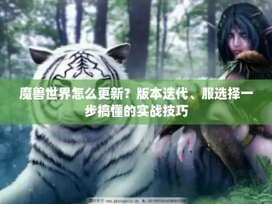 魔兽世界怎么更新？版本迭代、服选择一步搞懂的实战技巧