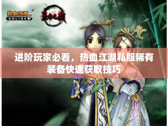 进阶玩家必看，热血江湖私服稀有装备快速获取技巧