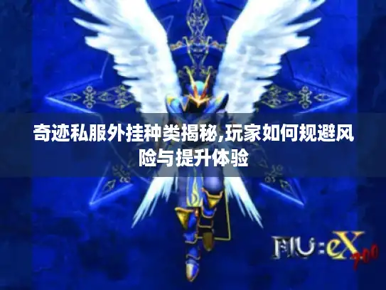 奇迹私服外挂种类揭秘,玩家如何规避风险与提升体验 奇迹私服外挂种类揭秘,玩家如何规避风险与提升体验