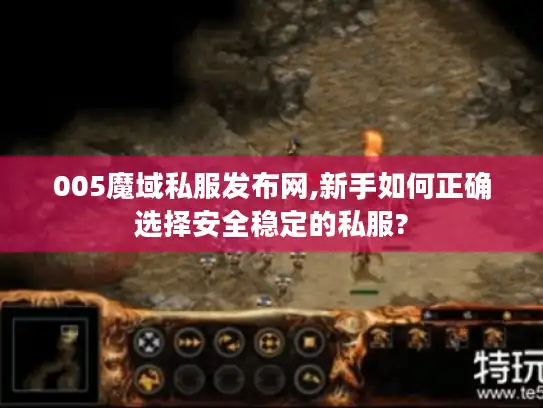 005魔域私服发布网,新手如何正确选择安全稳定的私服?
