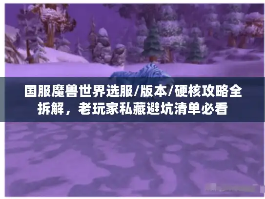 国服魔兽世界选服/版本/硬核攻略全拆解，老玩家私藏避坑清单必看