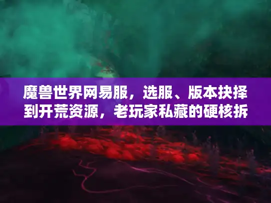 魔兽世界网易服，选服、版本抉择到开荒资源，老玩家私藏的硬核拆解