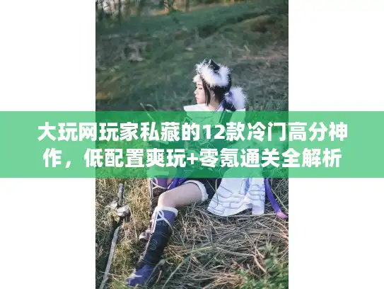 大玩网玩家私藏的12款冷门高分神作，低配置爽玩+零氪通关全解析