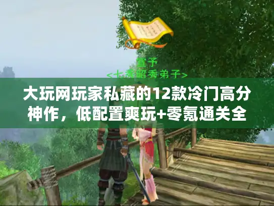 大玩网玩家私藏的12款冷门高分神作，低配置爽玩+零氪通关全解析