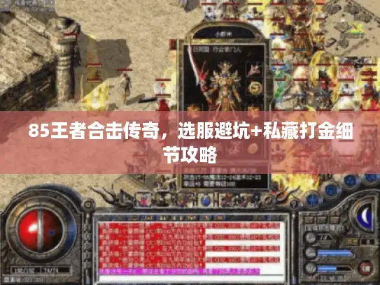 85王者合击传奇，选服避坑+私藏打金细节攻略