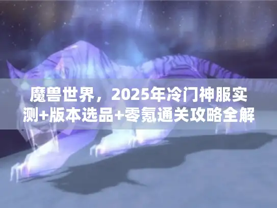 魔兽世界，2025年冷门神服实测+版本选品+零氪通关攻略全解析