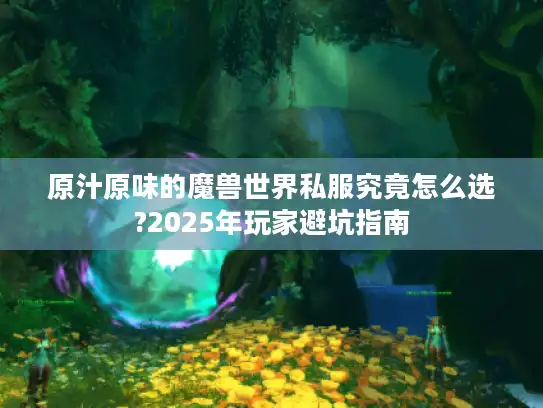 原汁原味的魔兽世界私服究竟怎么选?2025年玩家避坑指南 原汁原味的魔兽世界私服究竟怎么选?2025年玩家避坑指南
