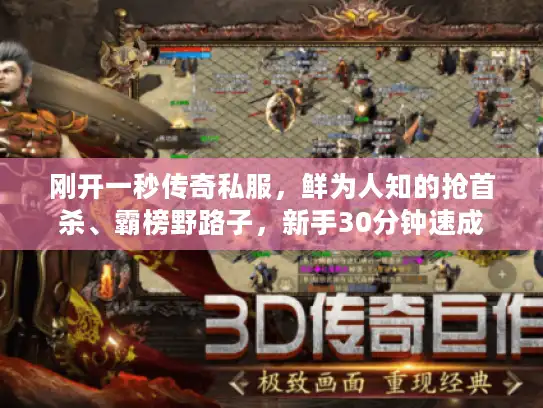 刚开一秒传奇私服,鲜为人知的抢首杀、霸榜野路子,新手30分钟速成 刚开一秒传奇私服,鲜为人知的抢首杀、霸榜野路子,新手30分钟速成
