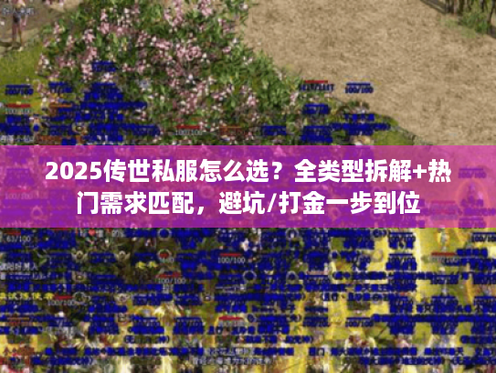 2025传世私服怎么选？全类型拆解+热门需求匹配，避坑/打金一步到位