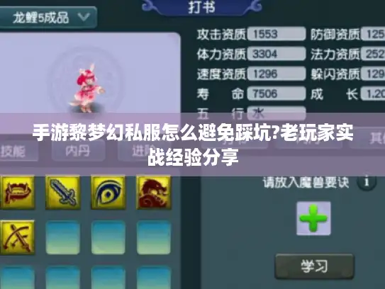 手游黎梦幻私服怎么避免踩坑?老玩家实战经验分享