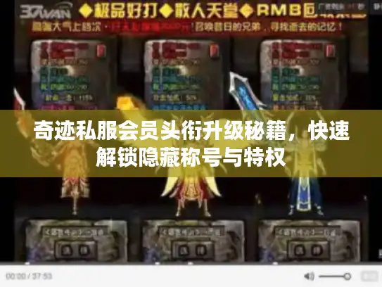 奇迹私服会员头衔升级秘籍，快速解锁隐藏称号与特权