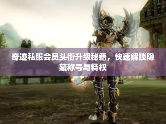 奇迹私服会员头衔升级秘籍，快速解锁隐藏称号与特权